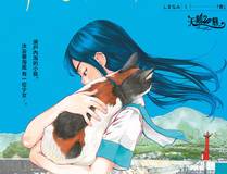 海贼王海报